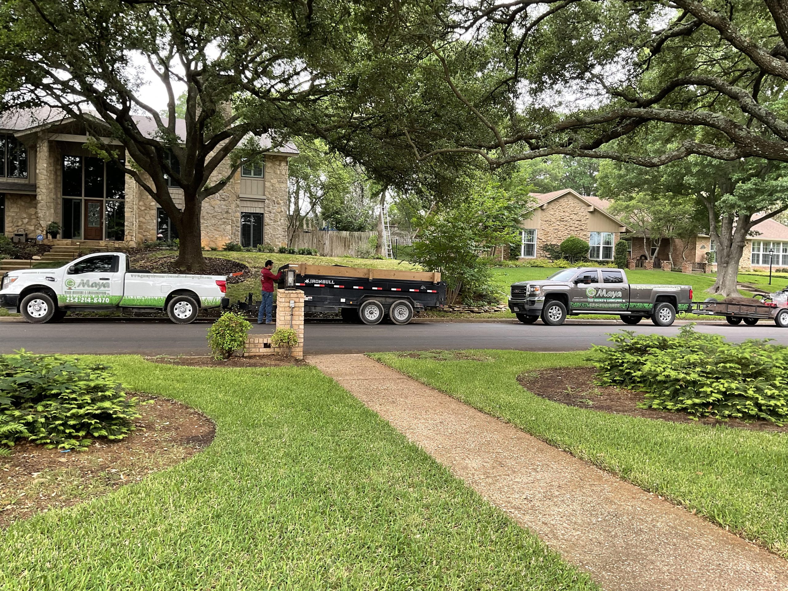 Tree work in Waco, Texas